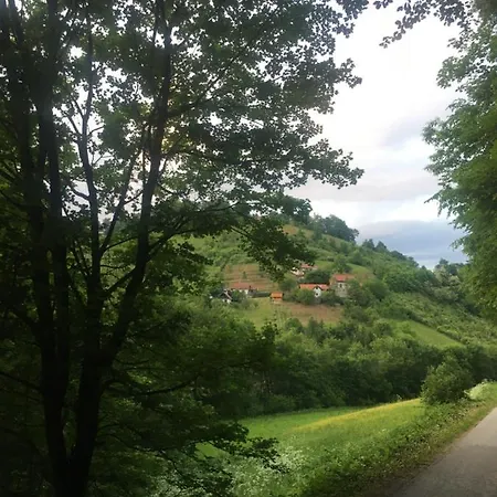 Spacious Nest Between Maribor And Celje Nicehead Apartman *