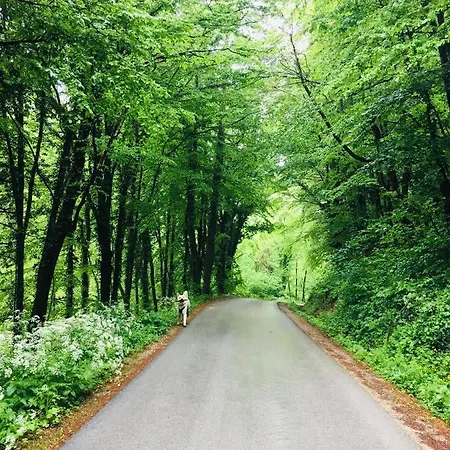 Apartmán Spacious Nest Between Maribor And Celje Nicehead