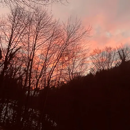 Spacious Nest Between Maribor And Celje Nicehead Apartamento *