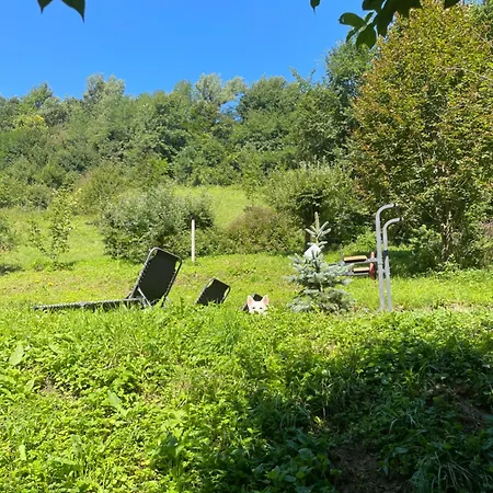 Apartment Nicehead Spacious Nest Between Maribor And Celje
