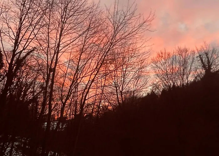 Spacious Nest Between Maribor And Celje Nicehead Lejlighed *